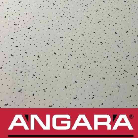 Потолочная плита Ангара 600х600х6мм