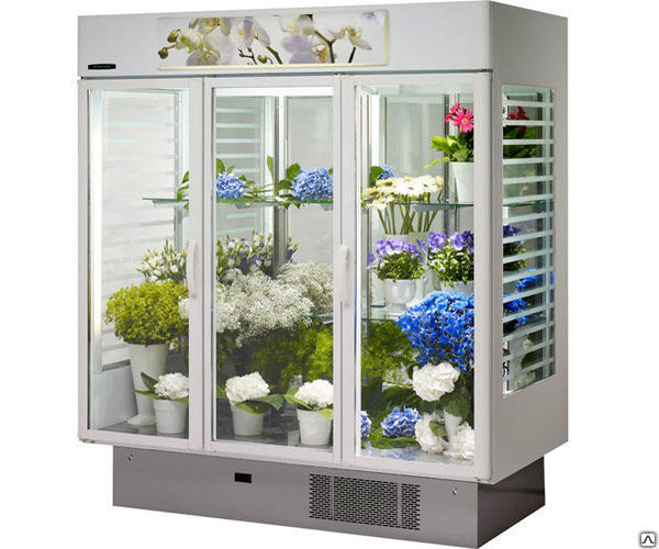 Ремонт цветочных холодильных камер, холодильников в СПб 2