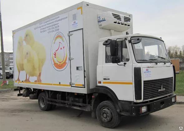 Производство фургонов для перевозки яиц по ТЗ заказчика
