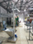 Вертикальный шнековый питатель загрузчик ШЗ и ШТ ЛАККК МЕХАНИЗМЫ из стали AISI 304 для пищевых продуктов от завода изготовителя ЛАККК. #5